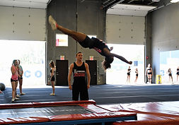 Layout Tumble