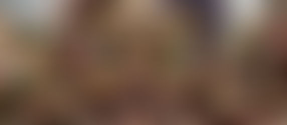 "Florescer" : Là où les histoires prennent racine