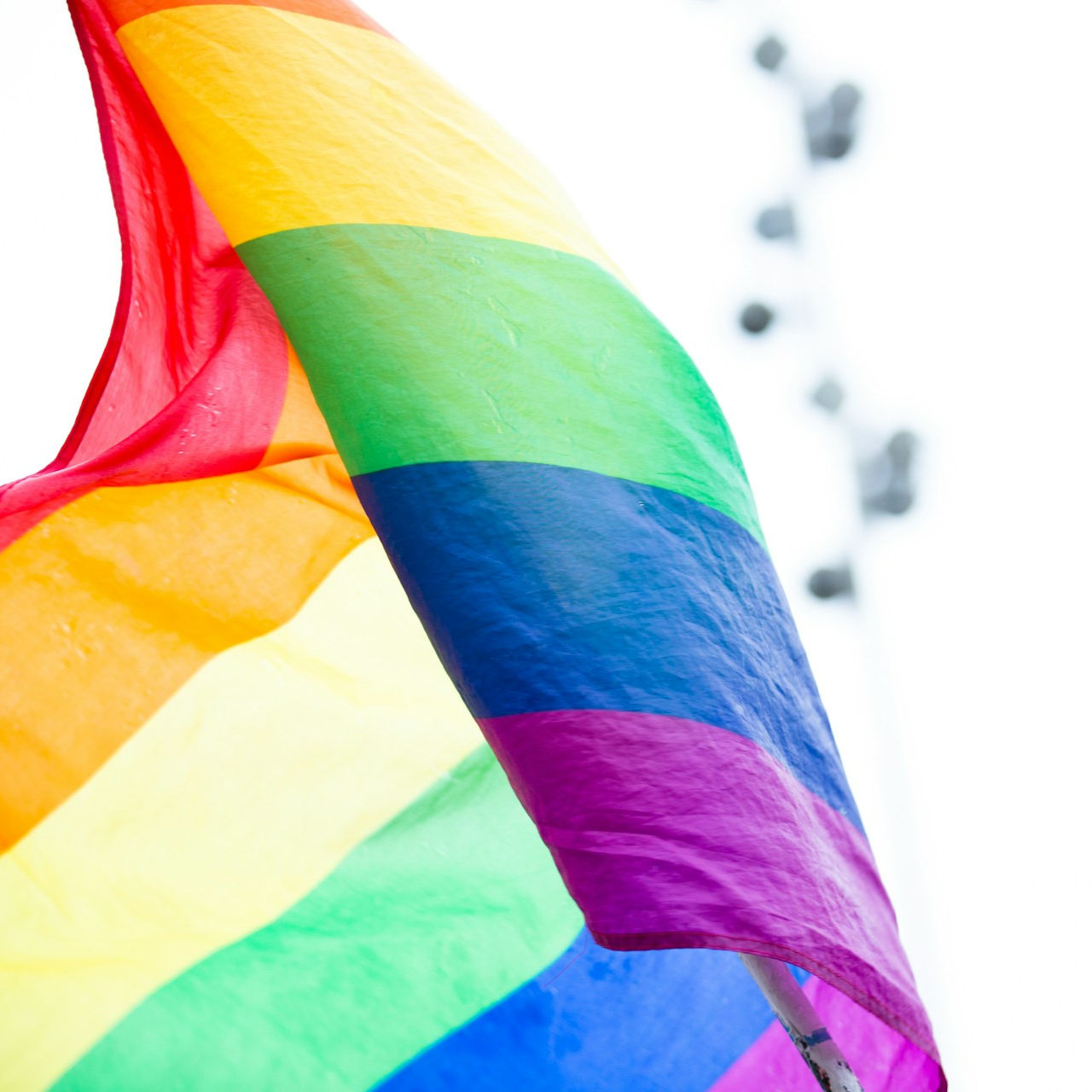 LGBTQIA+ Glossary & Resources