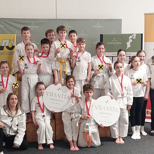 Burgenländischer JUDOFrühjahrscup + LM 2026