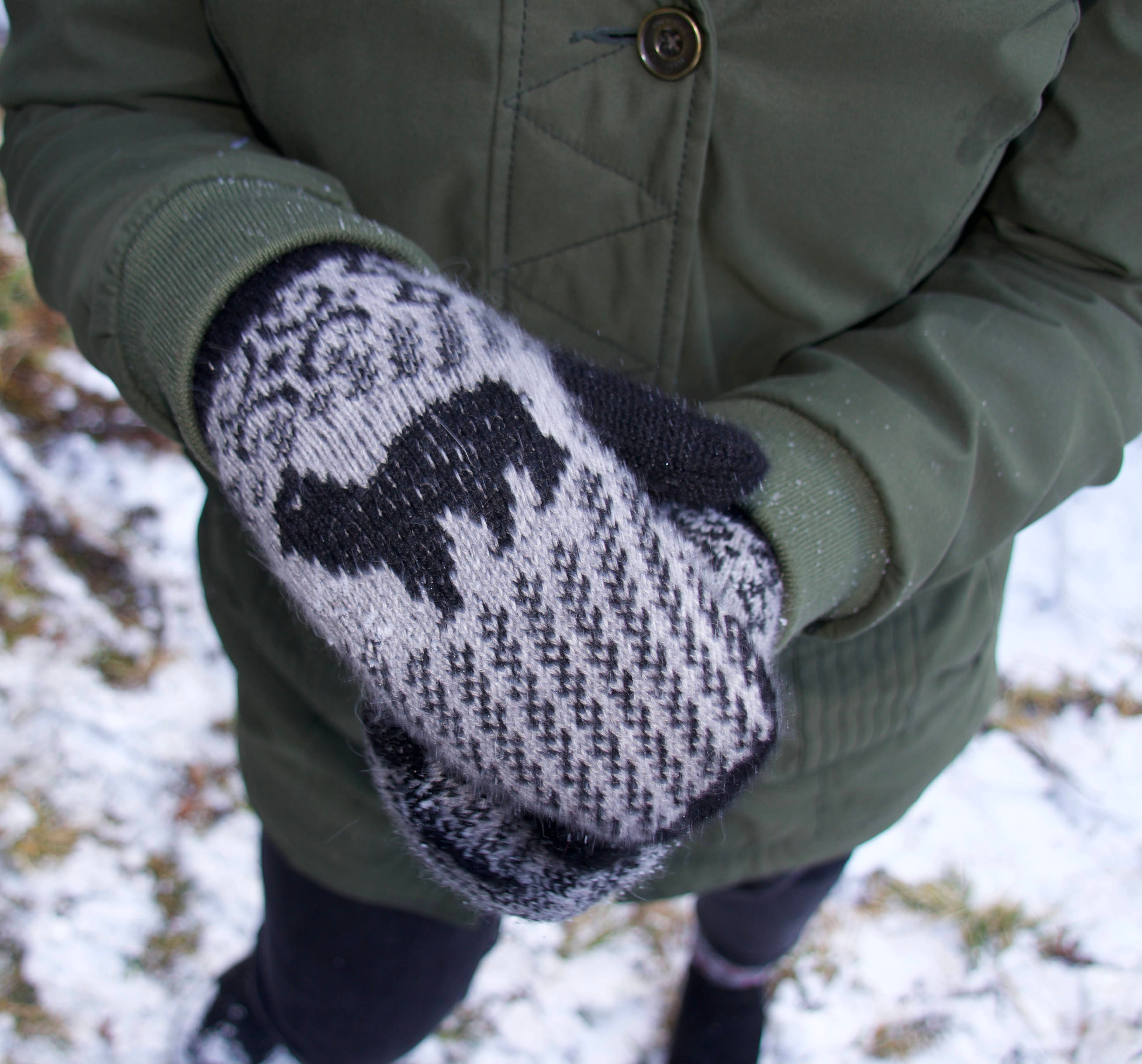 Alpaka Fäustlinge - Andino