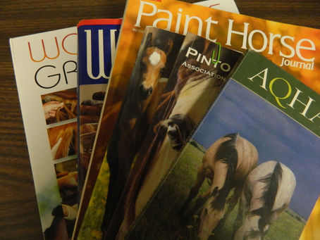 15 Tips in Taking Ownership of your Equestrian Education