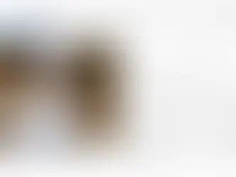 ミセスユニバースジャパン2022グランプリ光安都美さんが東京スポーツ新聞社「東スポWeb」で取り上げられました!