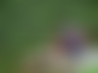 A man prepares to test a paddle kayak on Umiak's pond with assistance from a staff member.