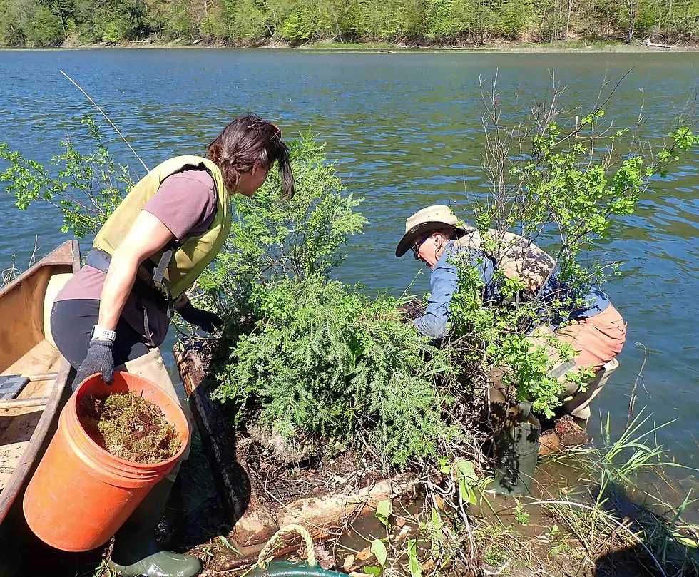Eloise Girard and Eric Hanson "landscape" the loon nest before it's put in place. Photo by Sheila Goss