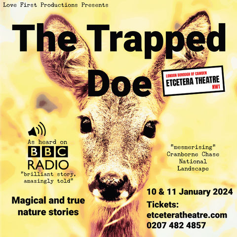 The Trapped Doe