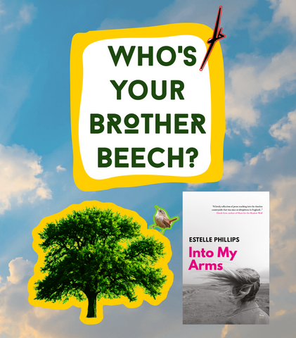 Who's your Brother Beech?