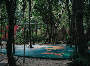 Nature Immersion Personal Custom Retreat Mexico