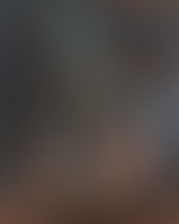 Still Life Oil Painting Progress: Weeks 5-6