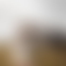 Bezauberndes Hochzeitsfotoshooting auf dem Gofi Lenzburg mit malerischem Schlossblick