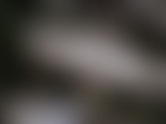 Hochzeit im Traumgarten Thalwil