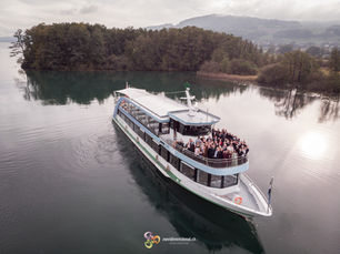Hochzeit auf dem Hallwilersee (Schiff Delphin)