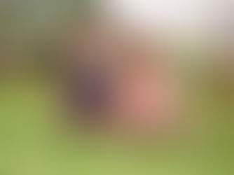 Familienfotoshooting im Garten