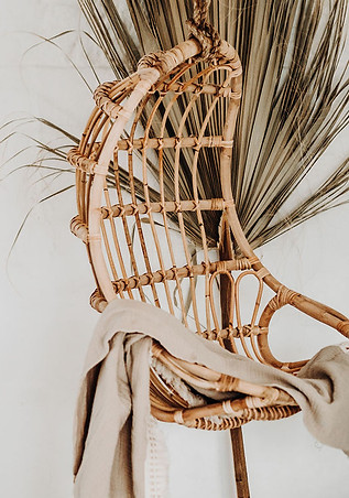 A tan wicker hanging seat, with a beige cotton throw and palm tree plant
