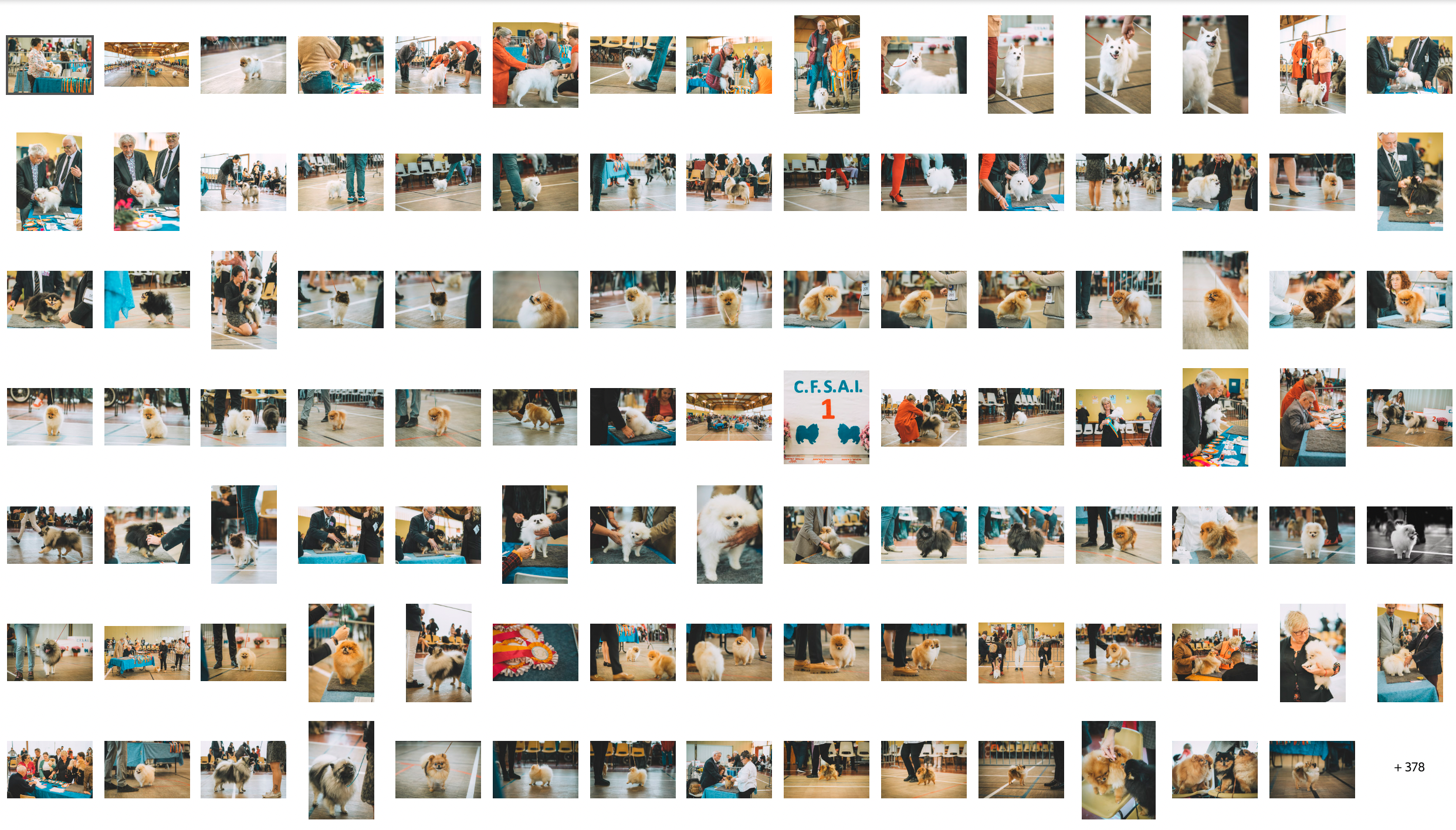 GALERIE PHOTO CFSAI 2022