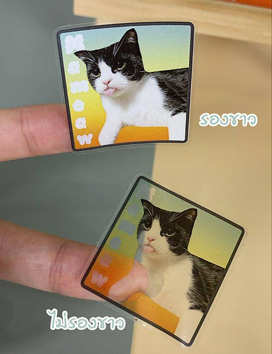 รับทำสติ๊กเกอร์ไดคัท สติ๊กเกอร์สั่งทำ รับผลิตสติ๊กเกอร์