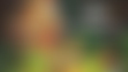 Cloverleaf's Hansel and Gretel