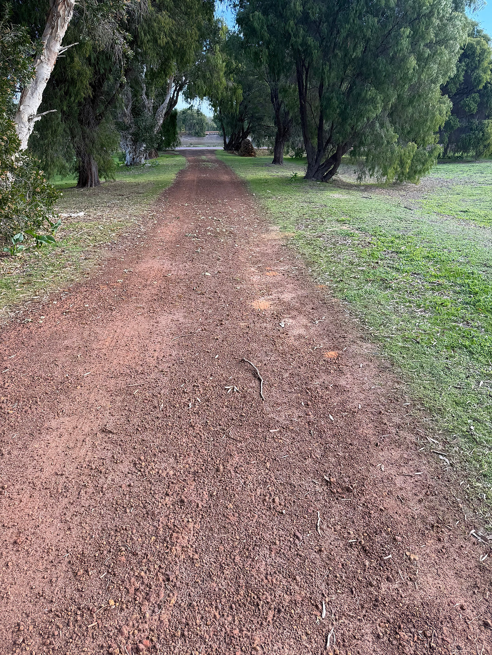 Existing Site