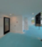 Modern entryway painted by Dirigo Paint Co. with dark front door