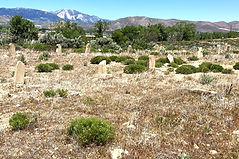 NSP Graveyard 5 Main.jpg