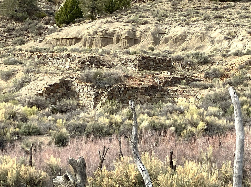 Northumberland 2.jpg