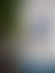 UN RECUERDO DE CUANDO MURIÓ MARADONA