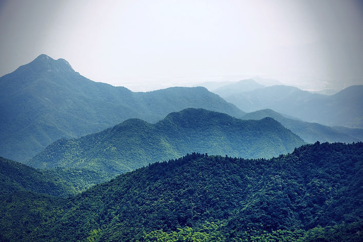 Misty Slopes_edited.jpg