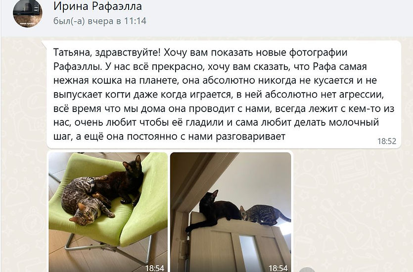 отзыв Рафа.JPG