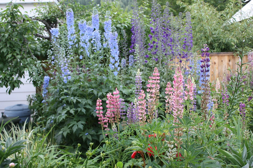 MomsGarden67.jpg