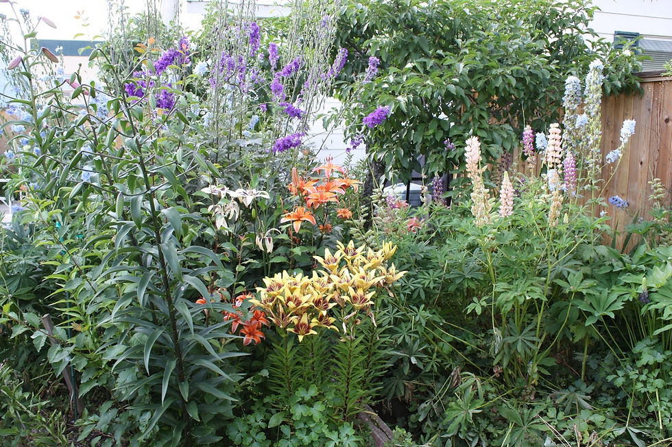 MomsGarden81.jpg