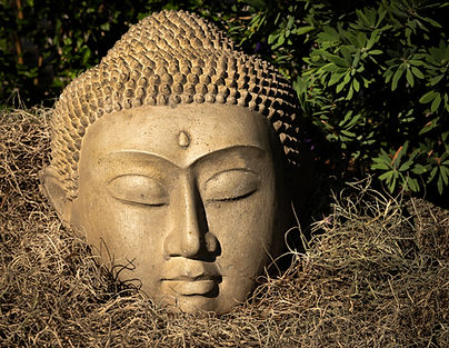 Peacesful prayer to honor life in the garden