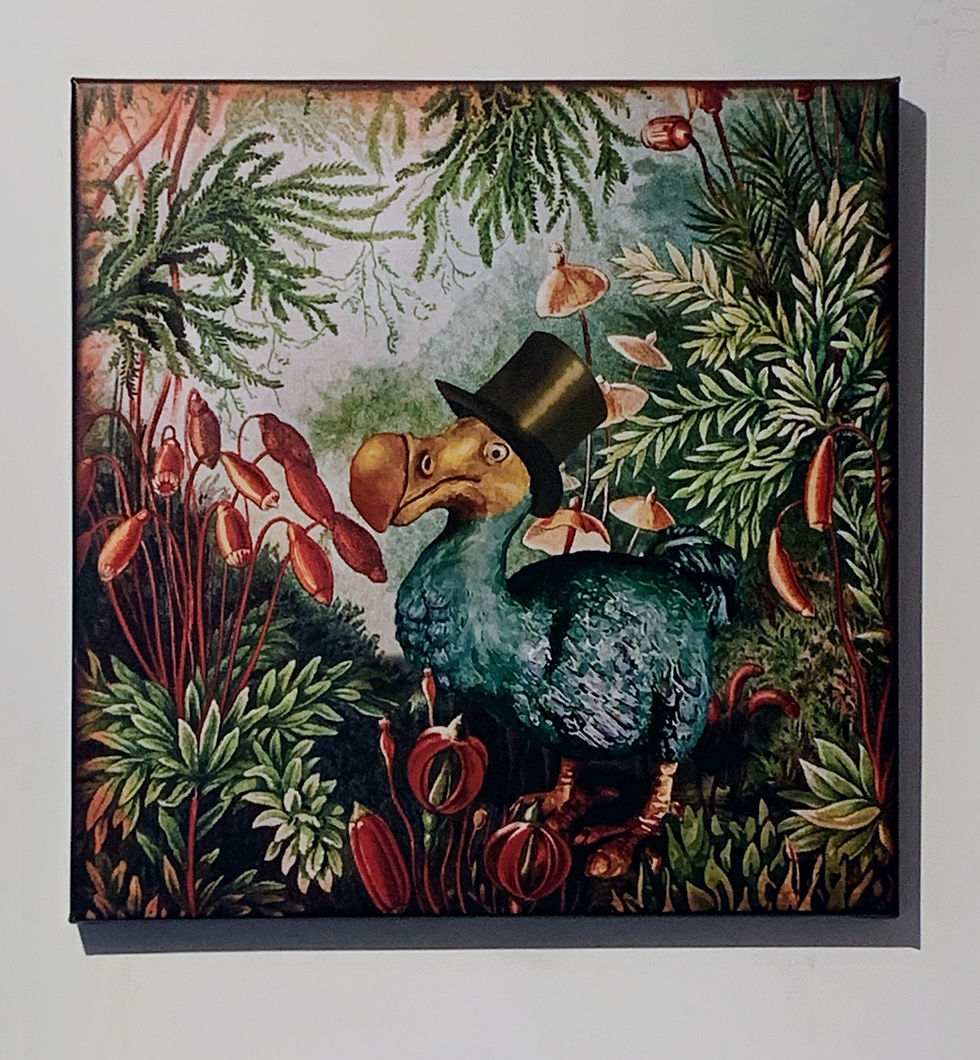 Thumbnail: Dodo bird, bird wall art, canas art, pop art, vintage art, print