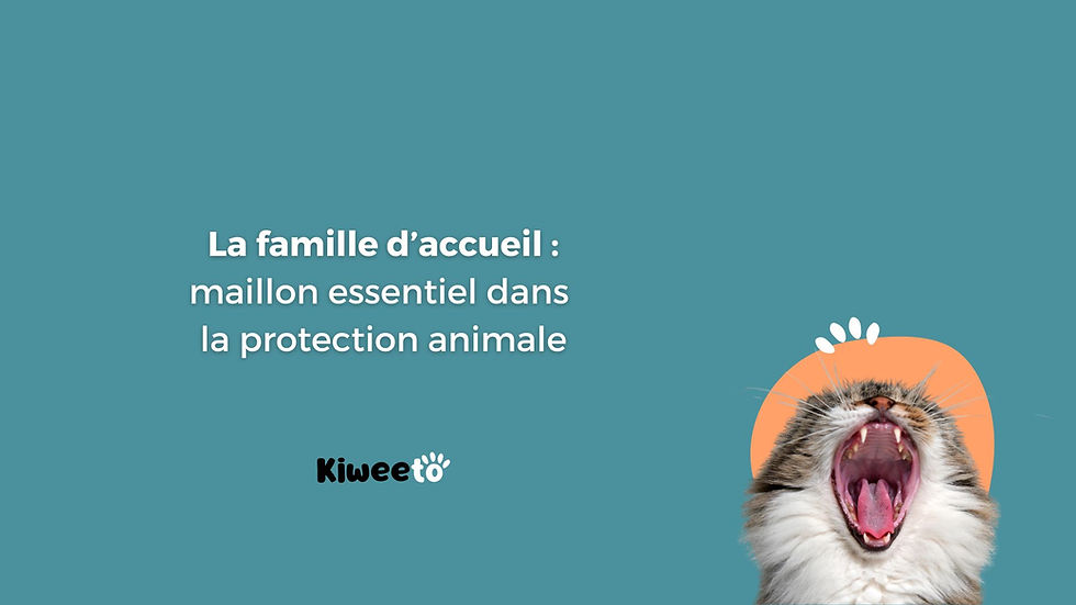 La famille d'accueil : maillon essentiel dans la protection animale