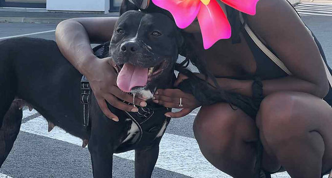 Milla, 4 ans, femelle