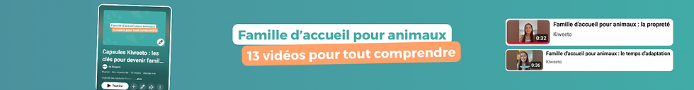 Bannière helloasso capsules vidéos.png