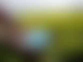 10 Useful Tips Vegetable Farmers Can Use to Enhance Soil Quality