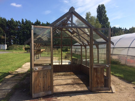 Greenhouse Filming
