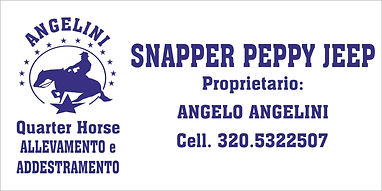 Angelini, Angelo - logo.jpg