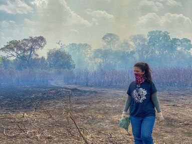 Seca histórica castiga o bioma do Pantanal