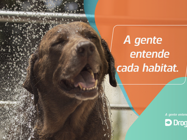 Ponto de virada: DrogaVET muda posicionamento para se conectar diretamente com tutores