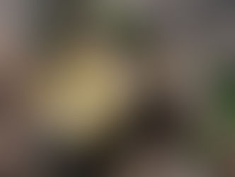 Quer apimentar a relação? Dica da espiritualista!