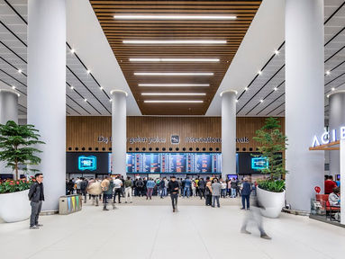 Turkish Airlines opera quatro voos semanais entre Brasil e Turquia até final de junho