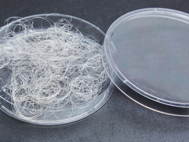 Descoberta na moda, estilista têxtil desenvolve fibra de tecido orgânica