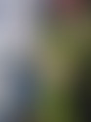 LOEWE desenha novos jalecos de restauração para o Museu Nacional do Prado