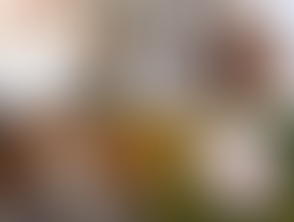 O apego emocional e as implicações psicológicas com a perda de um PET