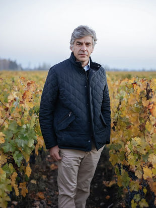 Como um Cabernet Sauvignon de Puente Alto se tornou o vinho Nº 1 do mundo