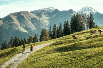 Destino de Viagem: Suíça de Bike