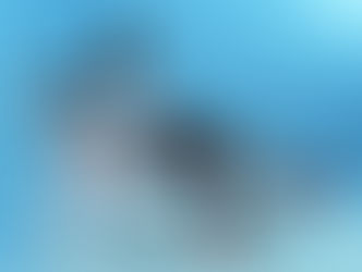 Thong sandals, hit do verão europeu, ganham versão Schutz