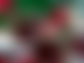 Primavera: Nutricionista explica os benefícios do Chá de Rosas Vermelhas