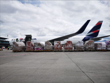 LATAM Cargo recebe sua 18ª aeronave e assume a liderança no transporte de flores na América do Sul